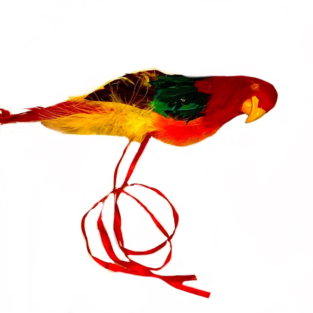 Pirate Parrot for your Shoulder